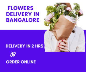 Read more about the article Best Online Flowers Delivery In Bangalore in 2023