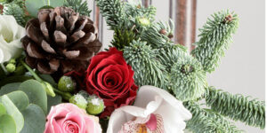 Read more about the article Best Christmas Flowers and Plants delivered online in Bangalore in 2023
